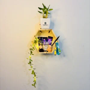 Buddha’s Eco Friendly Hamper